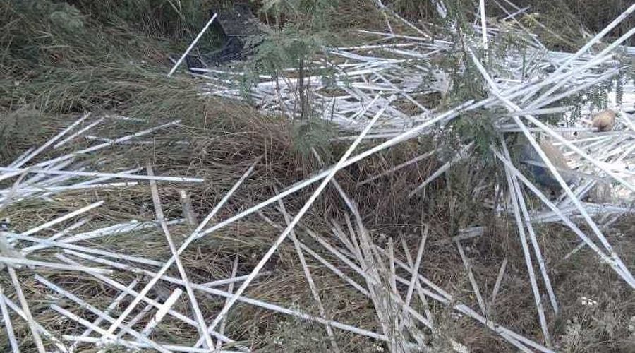  © Фото пресс-службы администрации Краснодара