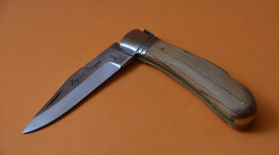  &copy;&nbsp;Фото с сайта pixabay.com