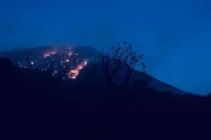 Пожар в заповеднике «Утриш» &copy;&nbsp;Фото Виталия Кавтарадзе