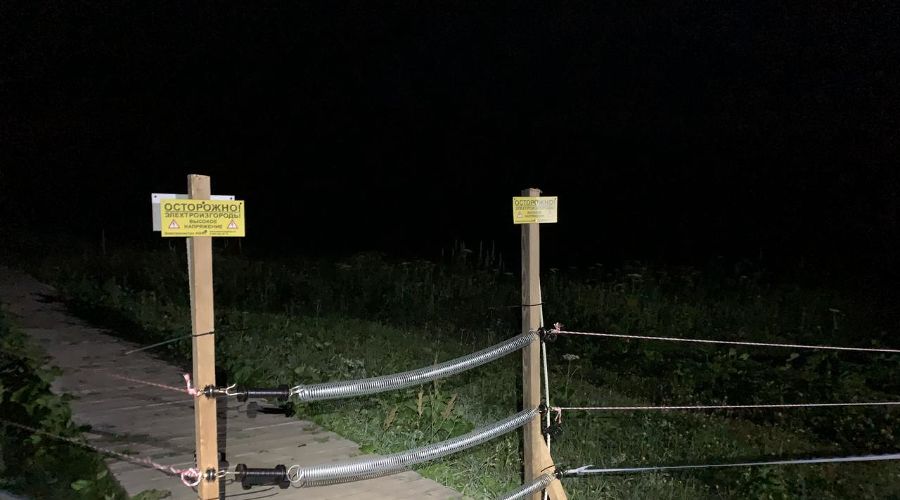  © Фото пресс-службы Кавказского биосферного заповедника