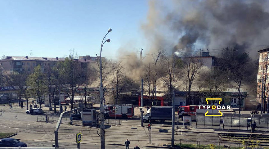  © Фото со страницы vk.com/typodar