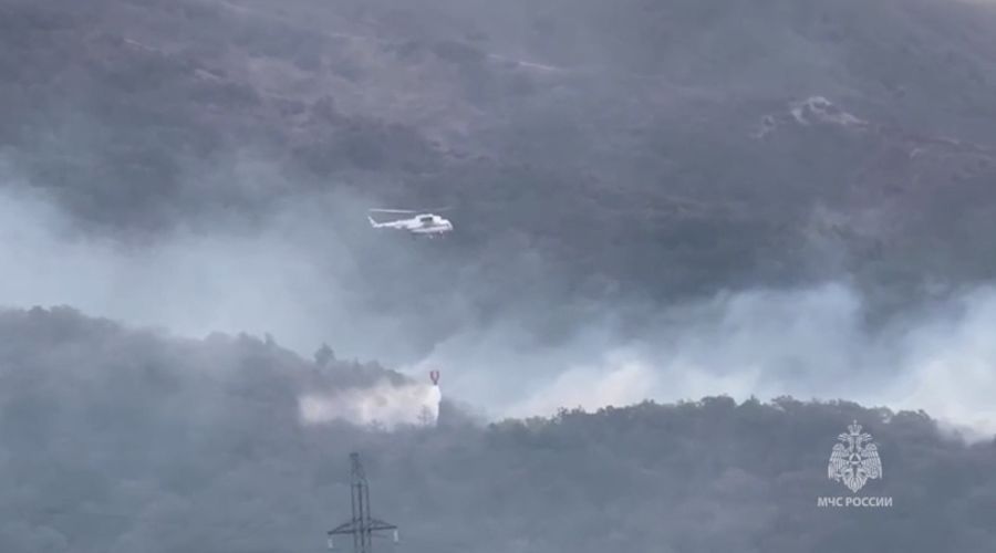  © Кадр из видео ГУ МЧС Краснодарского края