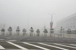  © Скриншот фото из телеграм-канала «Трамвай лета»