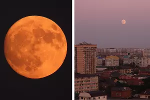 Оленье полнолуние &copy;&nbsp;Коллаж из скриншотов фото Дмитрия Лобанова