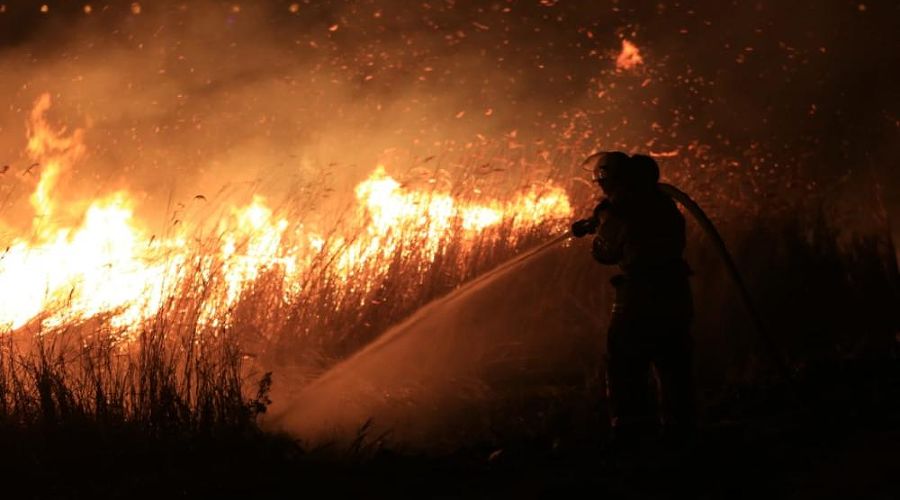 Пожар в плавнях Анапы © Фото пресс-службы администрации Анапы