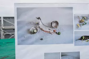 Выставка &laquo;Кубанский метр&raquo; &copy;&nbsp;Фото со страницы галереи &laquo;Вершина Культуры&raquo; во &laquo;ВКонтакте&raquo;, vk.com/the_high_of_culture