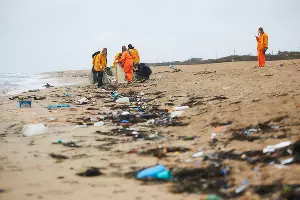  &copy;&nbsp;Фото Славы Замыслова, Гринпис