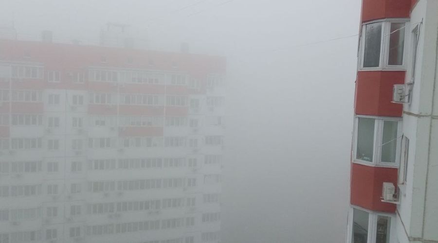 Туман в Краснодаре © Фото Андрея Малёваного, Юга.ру
