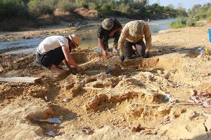  © Скриншот фото из телеграм-канала Ильи Биушкина