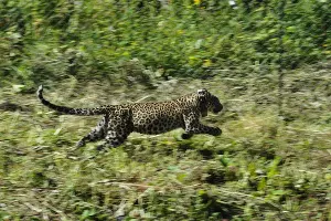  &copy;&nbsp;Фото пресс-службы Кавказского биосферного заповедника