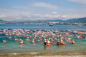  &copy;&nbsp;Фото пресс-службы администрации Геленджика