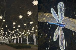  © Фото Марии Журавлевой, Юга.ру