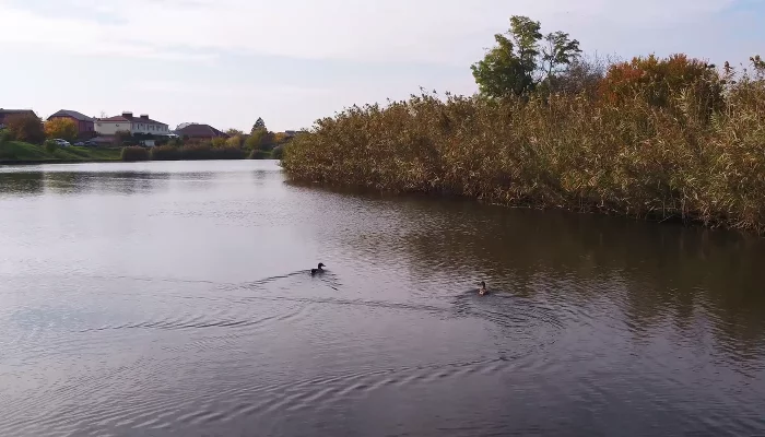  &copy;&nbsp;Фото Кирилла Панькова, Юга.ру