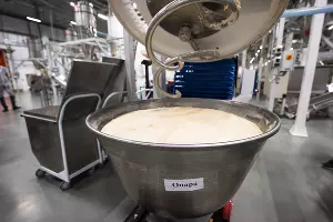 Открытие «Кубанского комбината хлебопродуктов» в Краснодаре &copy;&nbsp;Фото Елены Синеок, Юга.ру