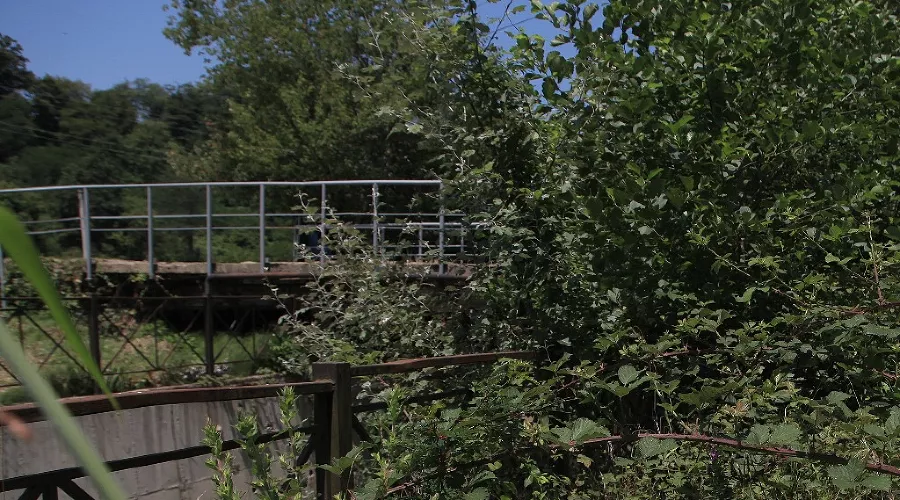  &copy;&nbsp;Фото пресс-службы Южного регионального поисково-спасательного отряда МЧС России