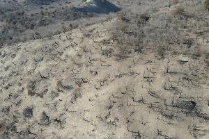 Заповедник "Утриш" &copy;&nbsp;Фото Андрея Маковозова, предоставлено Юга.ру