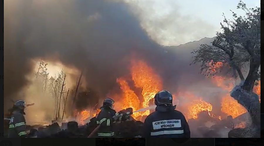  &copy;&nbsp;Скриншот видео https://t.me/typodar