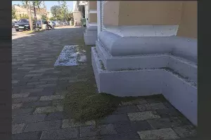  &copy;&nbsp;Скриншот фото из телеграм-канала &laquo;Новости Таганрога&raquo;