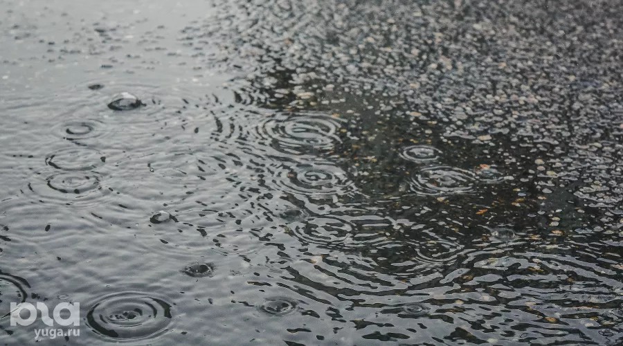  &copy;&nbsp;Фото Елены Синеок, Юга.ру