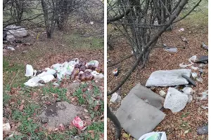  &copy;&nbsp;Скриншот из телеграм-канала &laquo;Чистая среда&raquo; https://t.me/Chistaya_sreda/3380