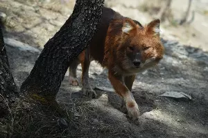  &copy;&nbsp;Елена Синеок, ЮГА.ру