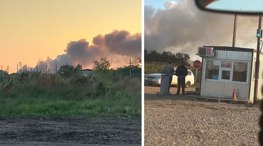  &copy;&nbsp;Коллаж из скриншотов фото из телеграм-канала &laquo;Евгений Витишко&raquo;