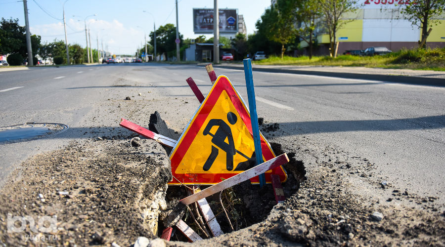  © Фото Елены Синеок, Юга.ру