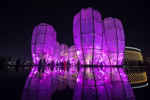 Парк «Краснодар»  с новогодней подсветкой &copy;&nbsp;Фото Елены Синеок, Юга.ру