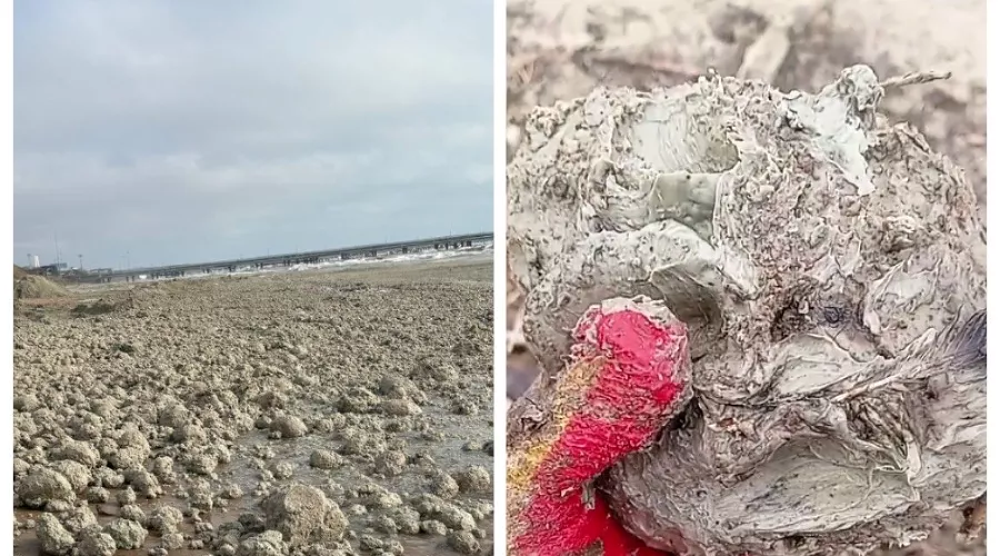  &copy;&nbsp;Скриншот из телеграм-канала штаба &laquo;Дельфины&raquo; https://t.me/shtab_delfin/2355