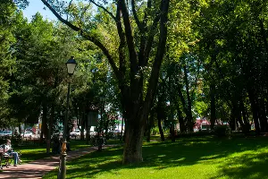  &copy;&nbsp;Фото Дмитрия Пославского, Юга.ру