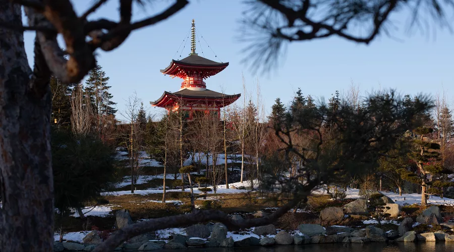  &copy;&nbsp;Фото Марии Журавлевой