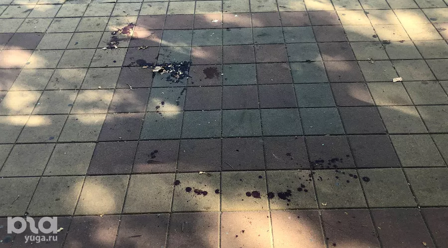 Место преступления &copy;&nbsp;Фото Валерии Дульской, Юга.ру