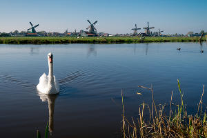 © Фото Виктора Мальчевского