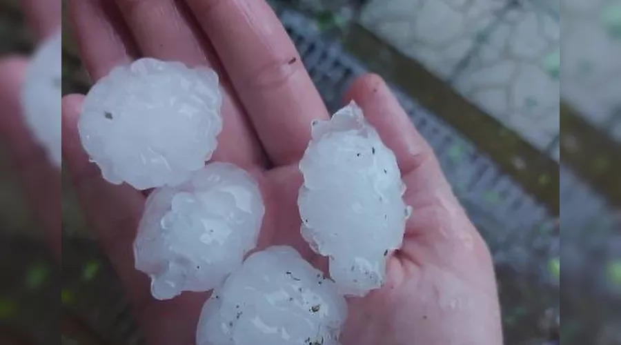  &copy;&nbsp;Фото из инстаграма &laquo;Апшеронск | Объявления&raquo;, instagram.com/tipich_apsheronsk