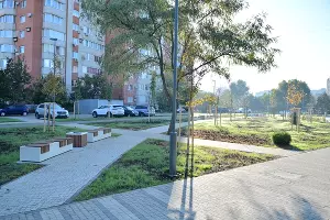  &copy;&nbsp;Фото пресс-службы администрации Краснодара