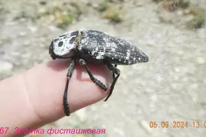  &copy;&nbsp;Скриншот фото из телеграм-канала &laquo;Минприроды Краснодарского края&raquo;