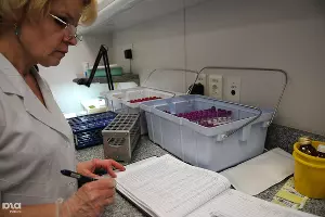 Акция "Капля крови – ради жизни" &copy;&nbsp;Елена Синеок. ЮГА.ру