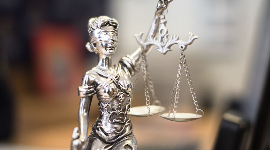  © Фото Елены Синеок, Юга.ру