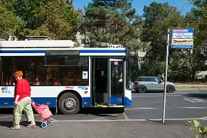  &copy;&nbsp;Фото Елены Синеок, Юга.ру