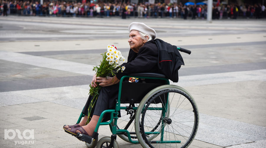  © Фото Елены Синеок, Юга.ру