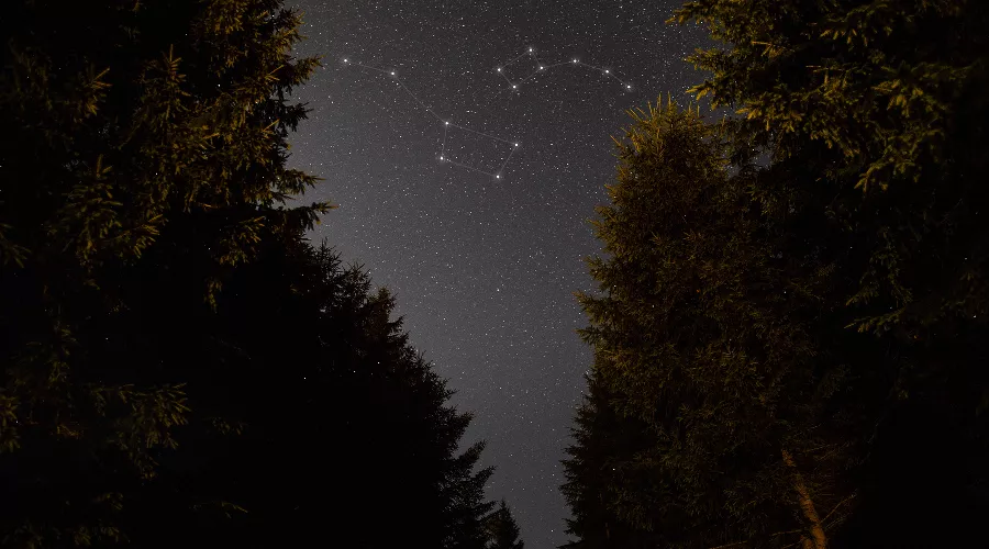  &copy;&nbsp;Фото freepik, сайт freepik.com