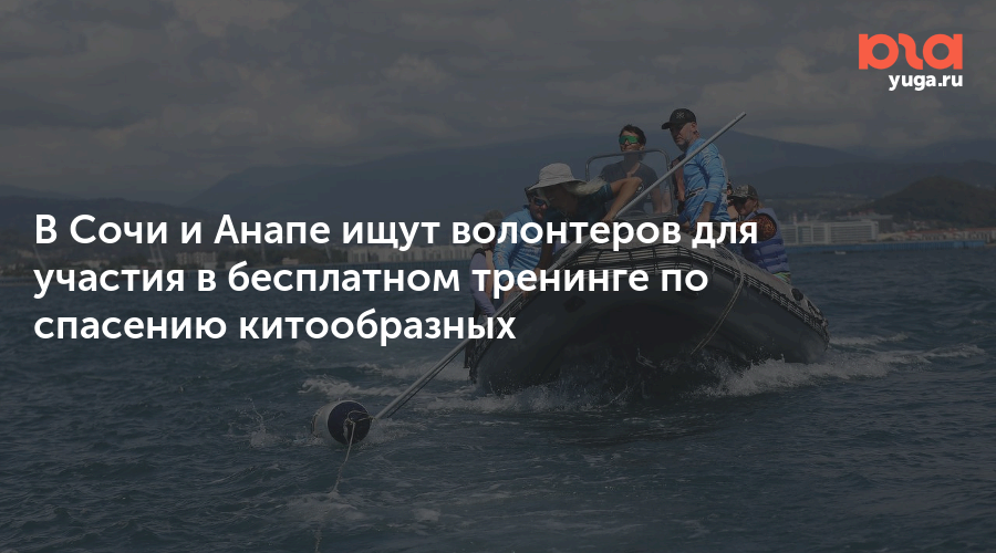 В Сочи и Анапе ищут волонтеров для участия в бесплатном тренинге по спасению китообразных