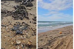  © Скриншот из телеграм-канала Юрия Озаровского https://t.me/MoreOz/108784