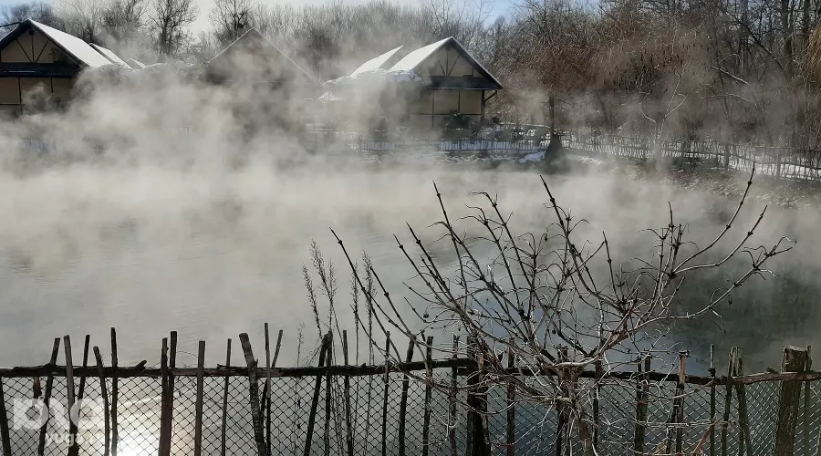  &copy;&nbsp;Фото Анны Петровой, Юга.ру