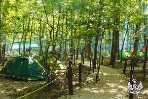 Палаточный лагерь молодежного форума «Регион 93» © Фото из группы «ВКонтакте» «МОЛОД.ИНФО», vk.com/molodinfo