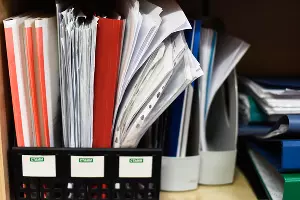  &copy;&nbsp;Фото Елены Синеок, Юга.ру