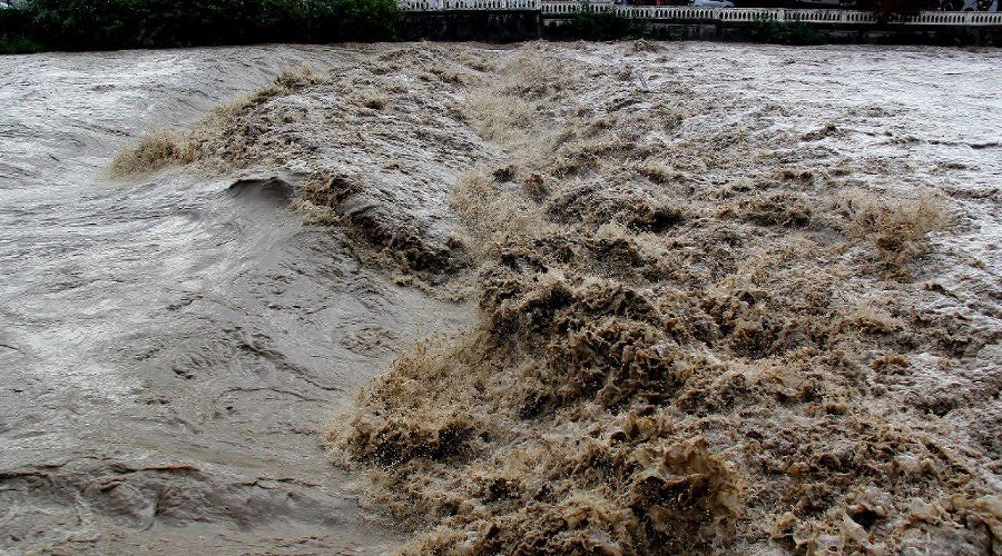  © Фото из канала t.me/sochinow