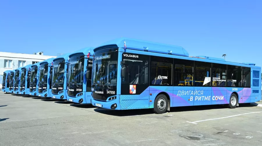  &copy;&nbsp;Скриншот из телеграм-канала мэра Сочи Андрея Прошунина