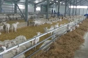  © Фото Юлии Барановой, Юга.ру