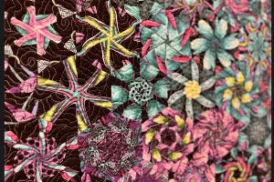  &copy;&nbsp;Скриншот фото из письма от пресс-службы музея имени Коваленко